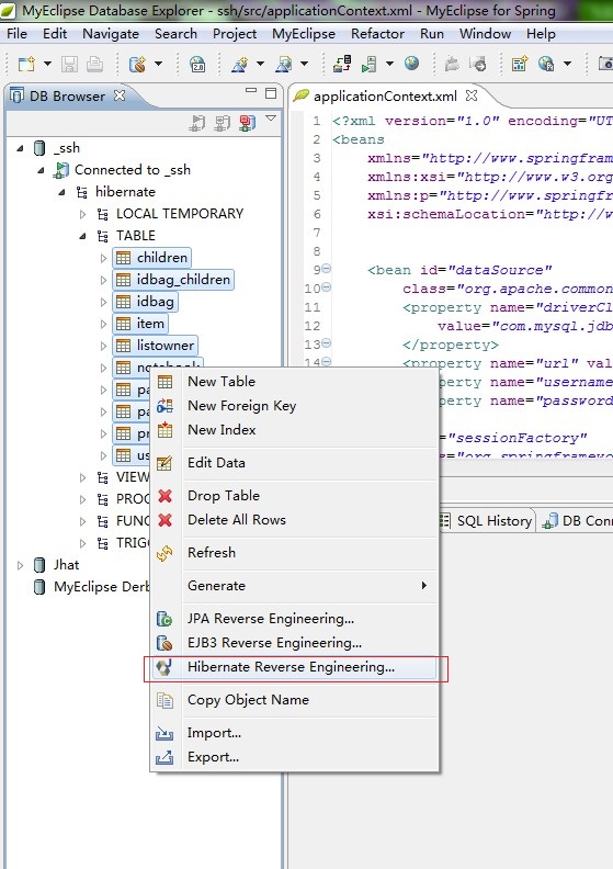 Hibernate Reverse Engineering