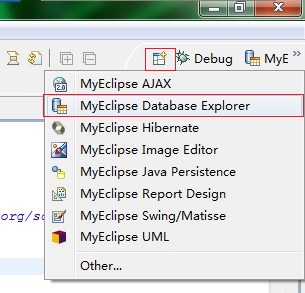 MyEclipse Database Explorer